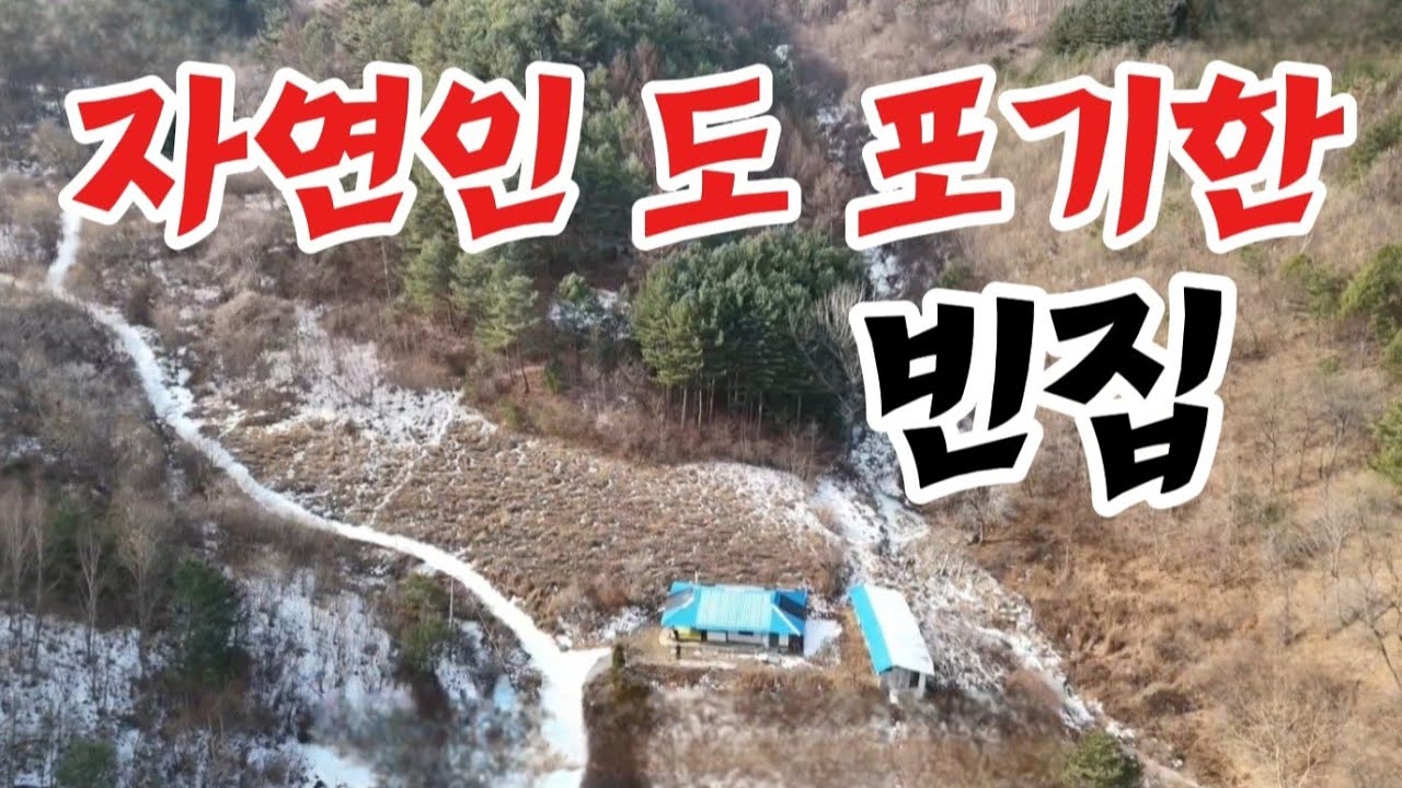 깊은산속 에 나홀로 빈집 자연인 은 떠나고 빈집만이 남았다 