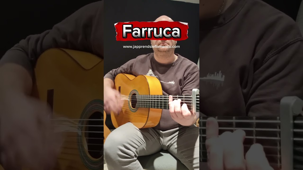 Farruca mode patatore activ&eacute; #japprendsleflamenco #flamenco #compas