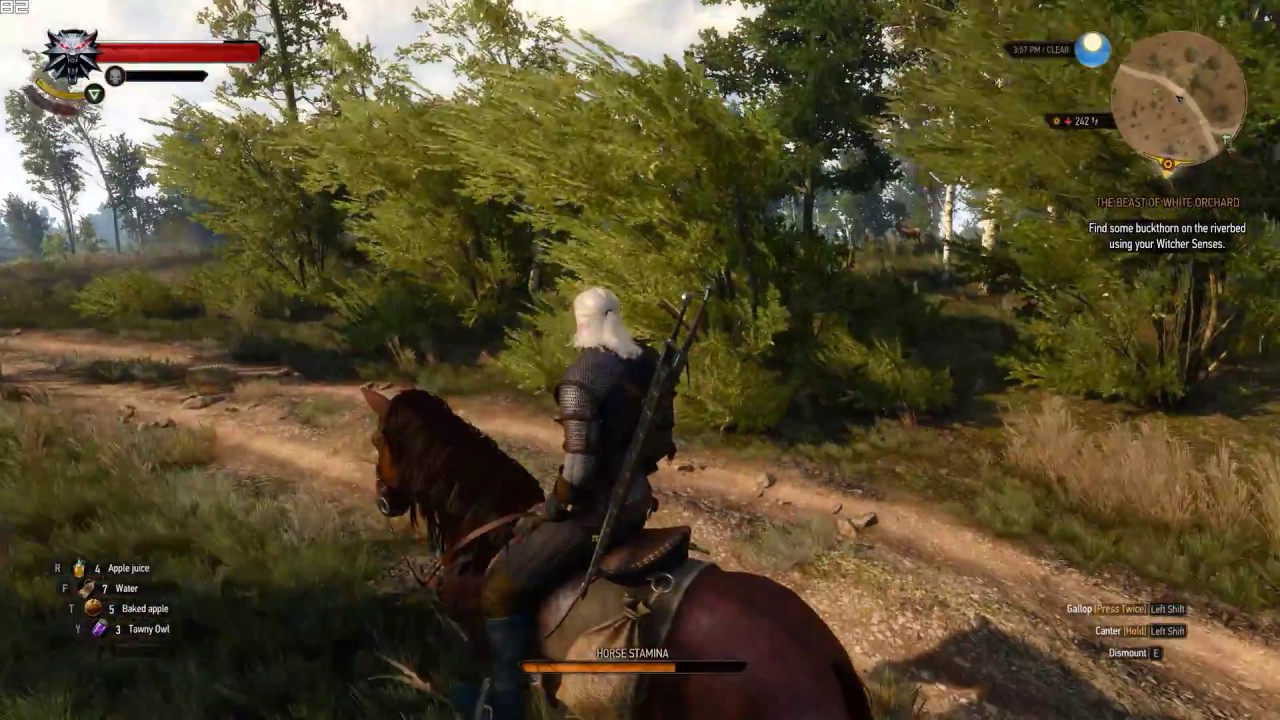 GTX 1070 Ti (Overclocked) | Witcher 3 | Ultra Settings 1440p Benchmark