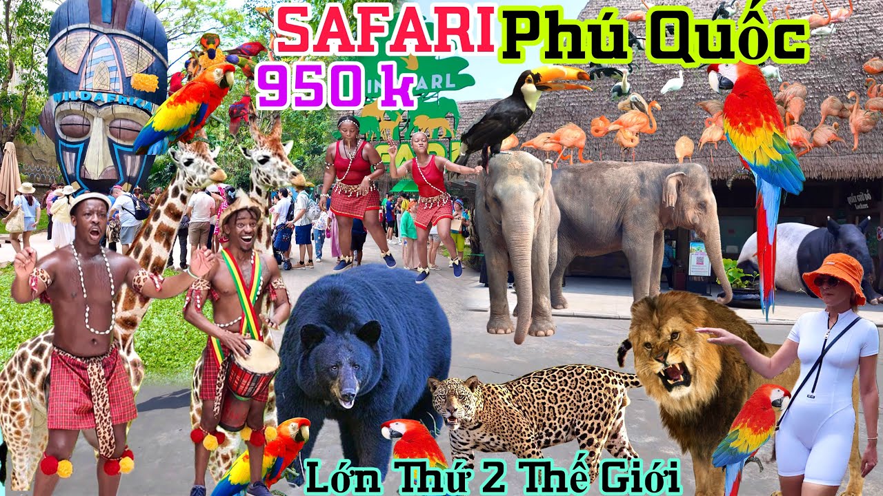 SAFARI PHÚ QUỐC - vườn thú bán hoang dã lớn thứ 2 thế giới cùng show diễn chim độc lạ chưa từng có