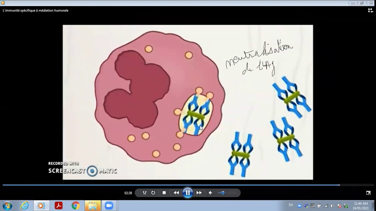 biologie EB8  ch 1 act 4