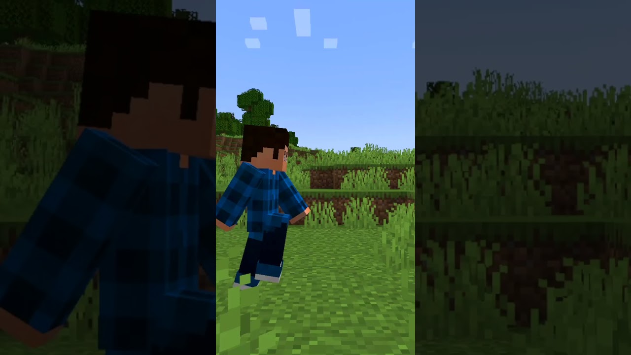 This is the best mod on players animations for mimecraft!