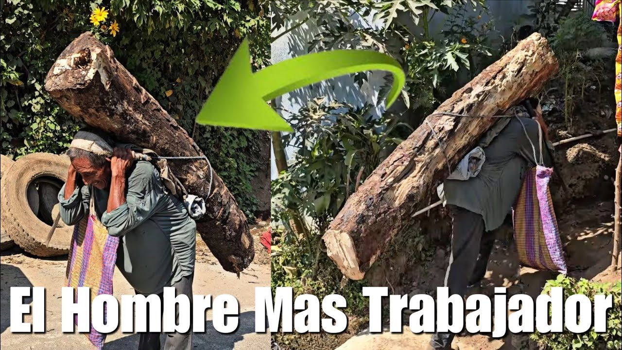 🚨Don Chico Sinar El Único Hombre Que Trabaja Para Sostener Asu Familia☝️🥹