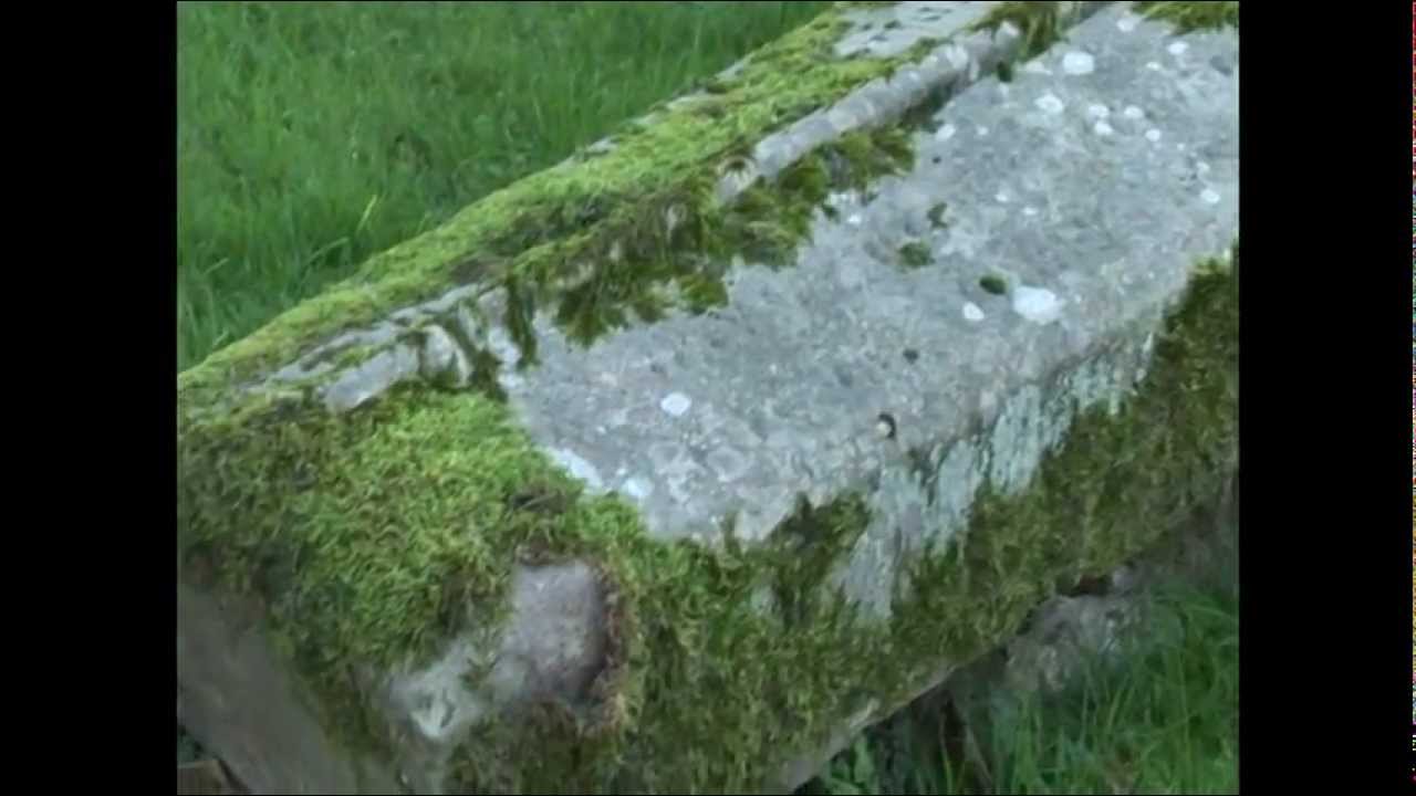 Robin of Loxley: An outlaw in the heart of England