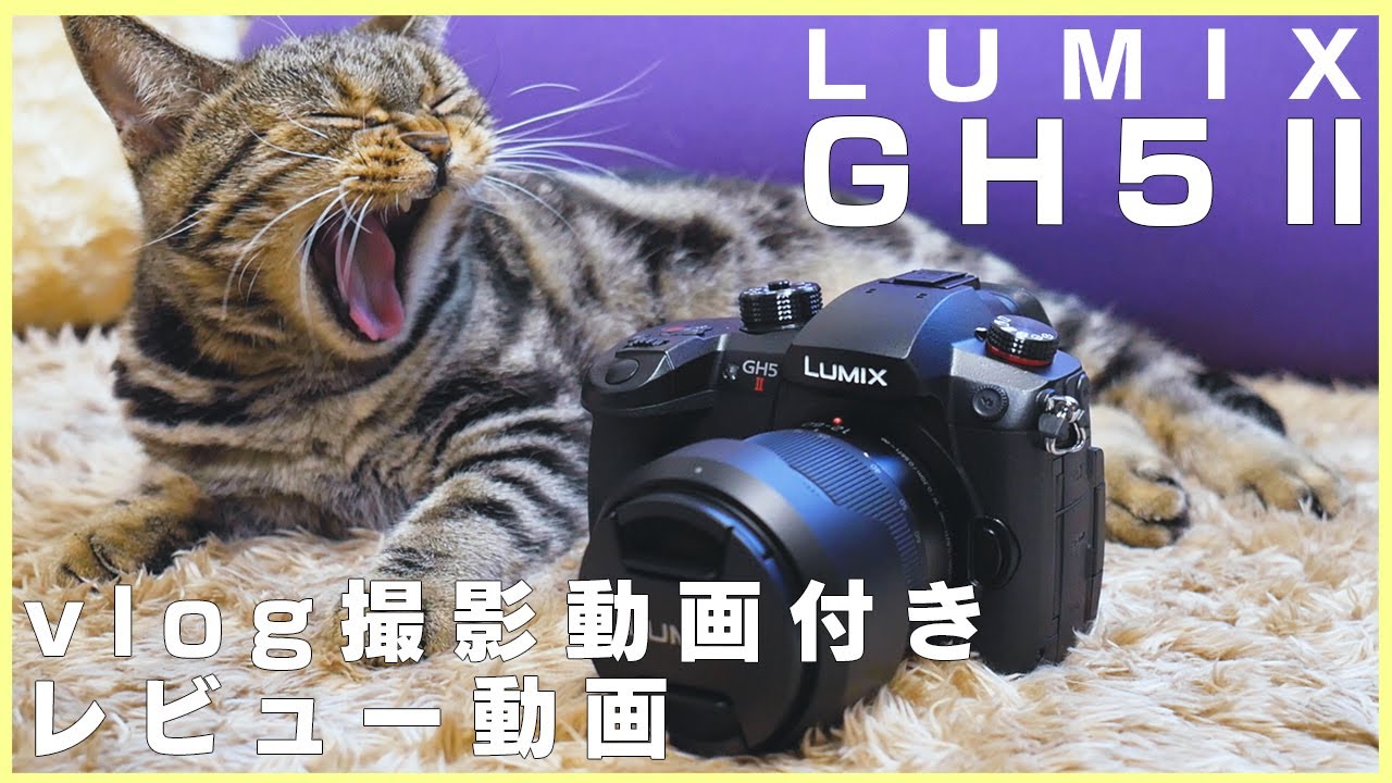 GH5M2を実際に使用してみて。悩んでる方は見て欲しい【GH5M2 / レビュー】