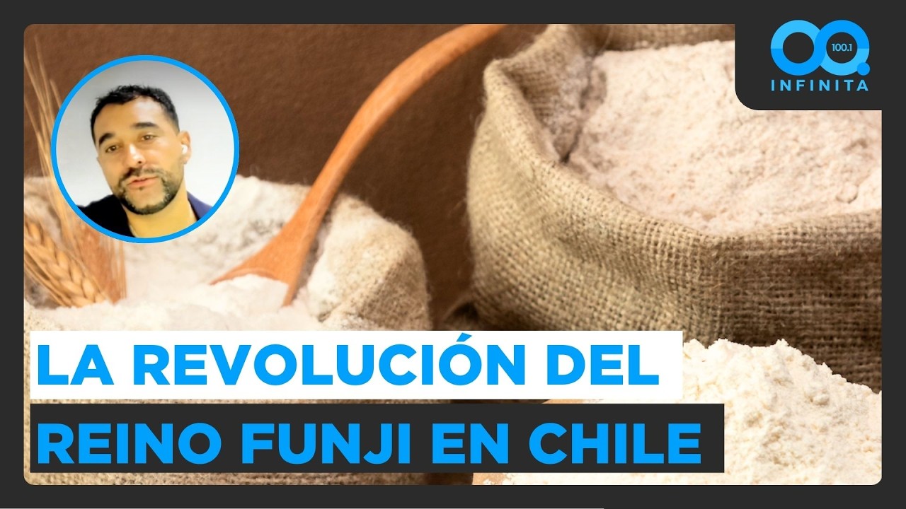 “Chile es un laboratorio natural”: Investigador destaca potencial del reino fungi