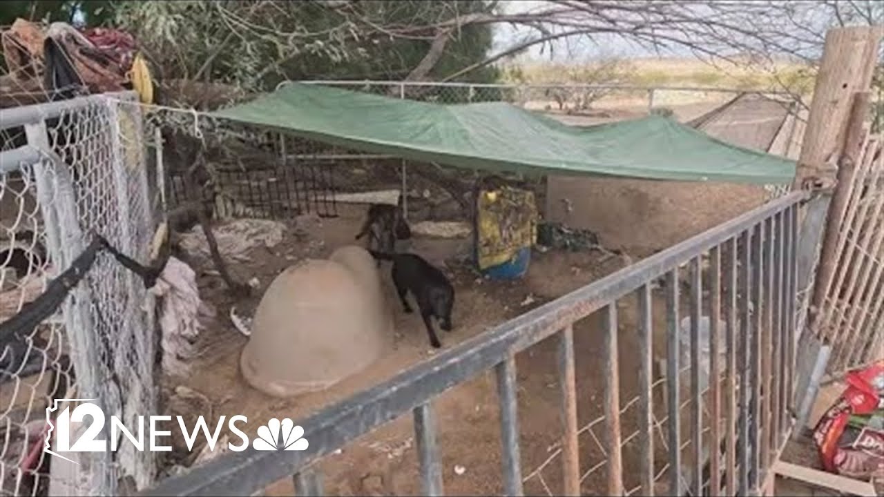 MCSO serves search warrant after reports of 9 neglected dogs on property
