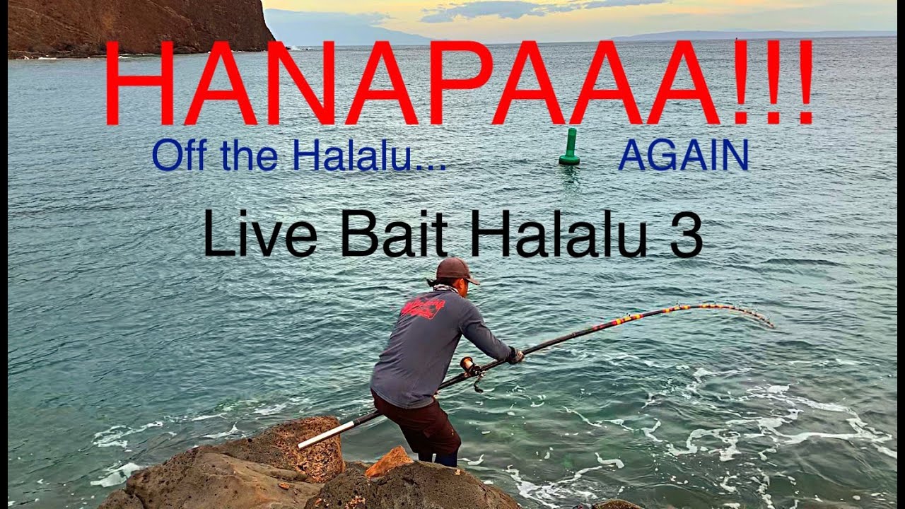 HANAPAA off the live bait... AGAIN | Live Bait Halalu 3 | Fishing Hawaii 2020 | Fishing Hawaii 2020