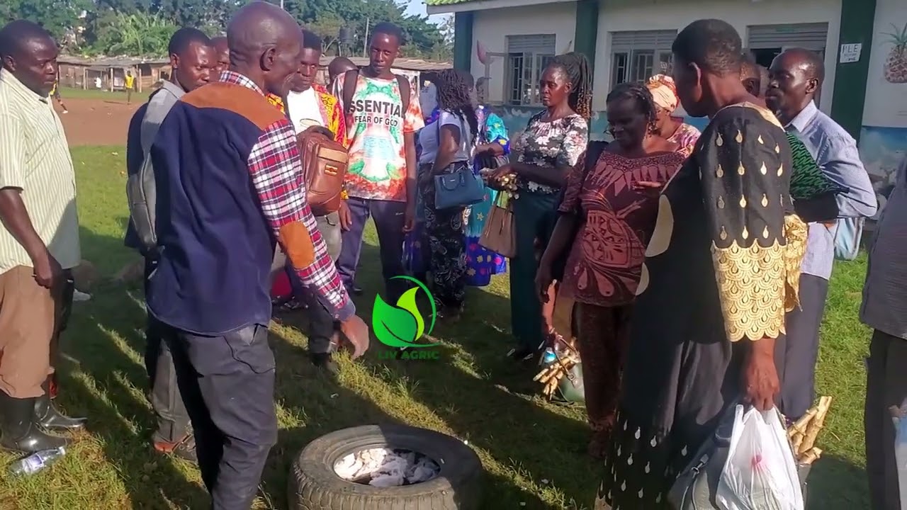 Demonstration On How To Incubate Eggs Using A Car Tyre With Dr.Isa Luigare