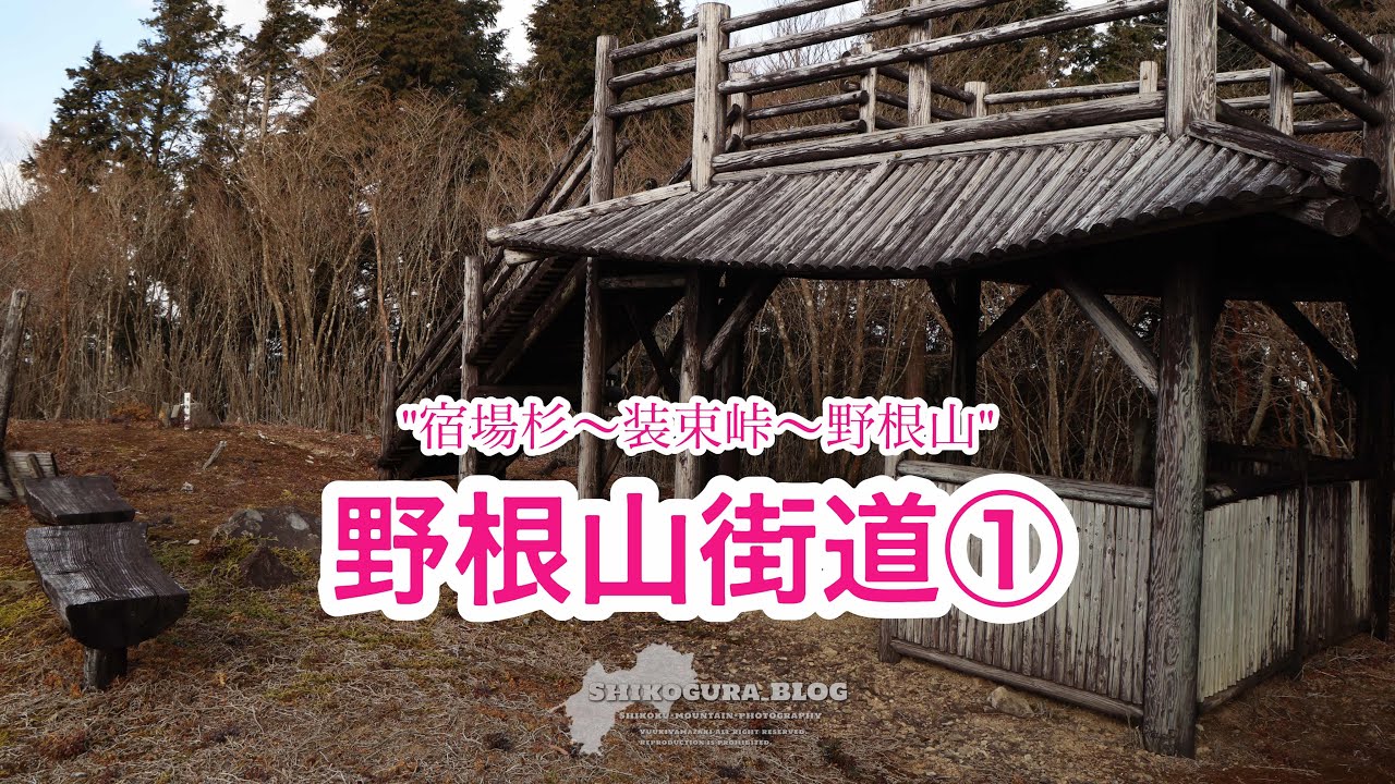 野根山街道(宿場杉〜野根山)【四国百名山/高知】