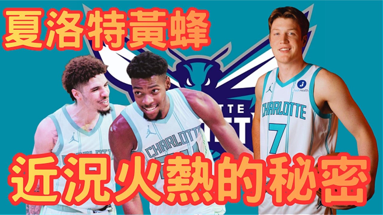 夏洛特黃蜂 近況火熱的原因