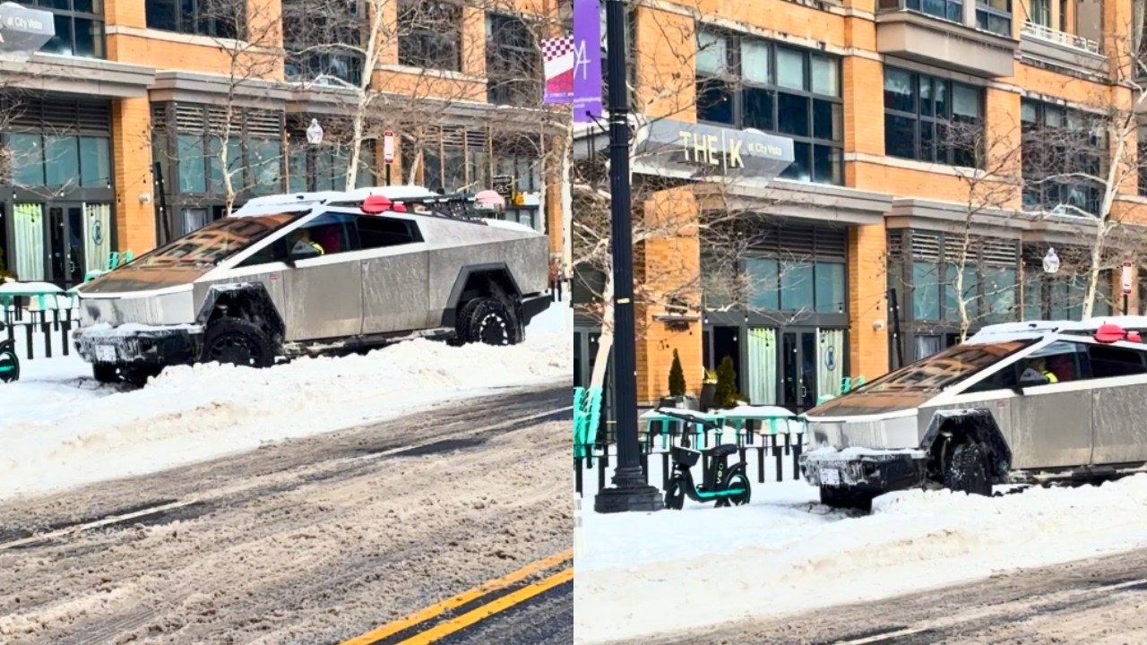 IDIOTS IN CARS 