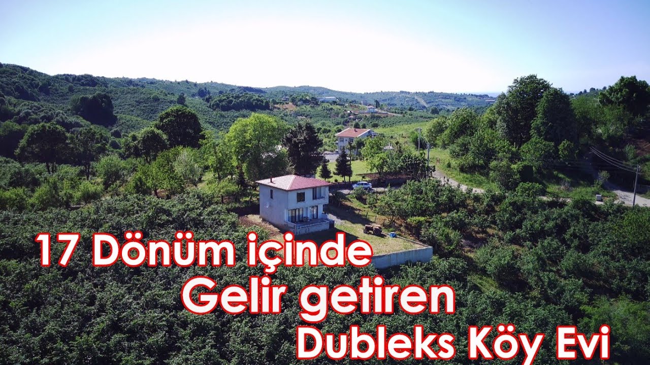 17 DÖNÜMLÜK FINDIK BAHÇESİ İÇİNDE DUBLEKS MÜSTAKİL KÖY EVİ (S A T I L D I)