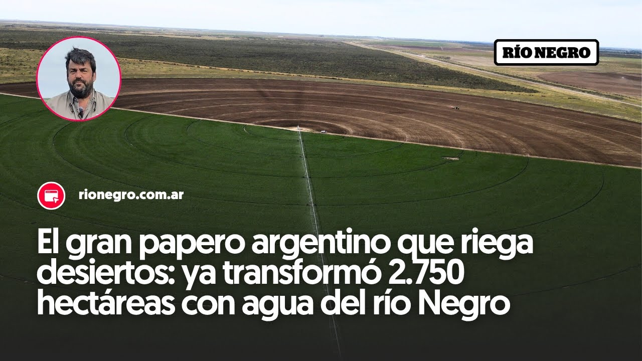 El gran papero argentino que riega desiertos: ya transformó 2 750 hectáreas con agua del río Negro