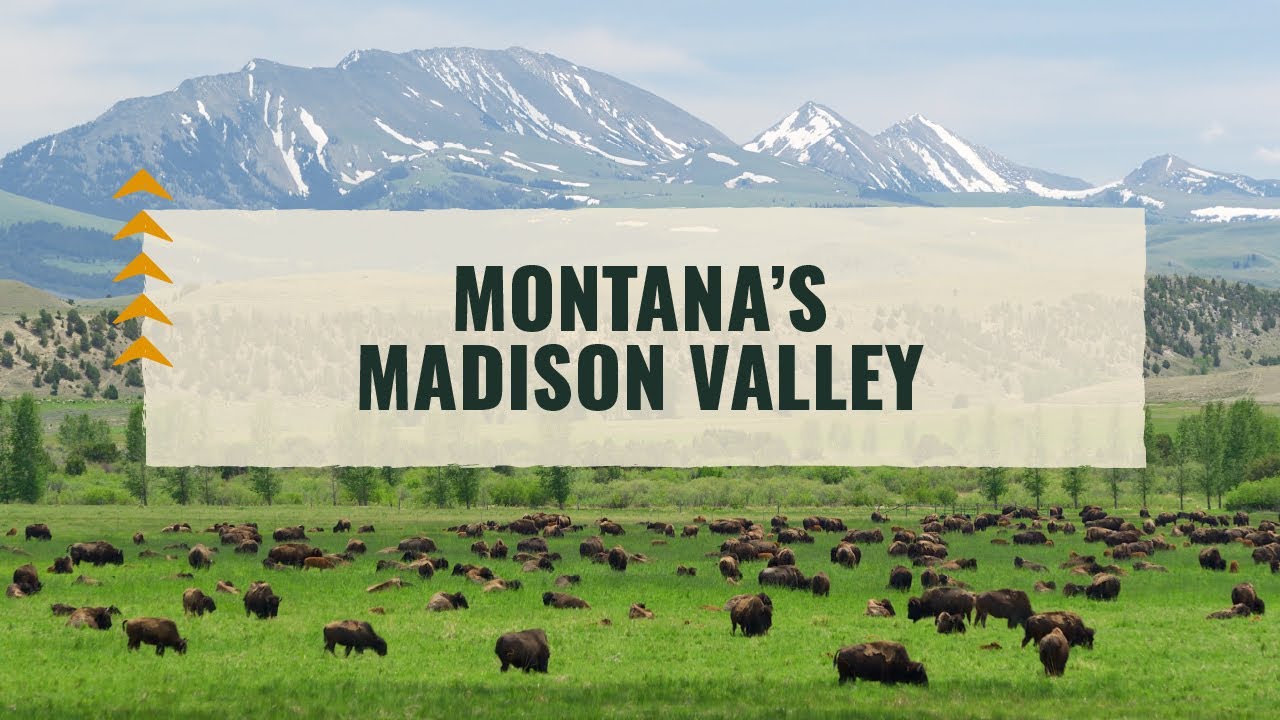 Friendly Communities, Abundant Wildlife and Beautiful Scenery in Montana's Madison Valley