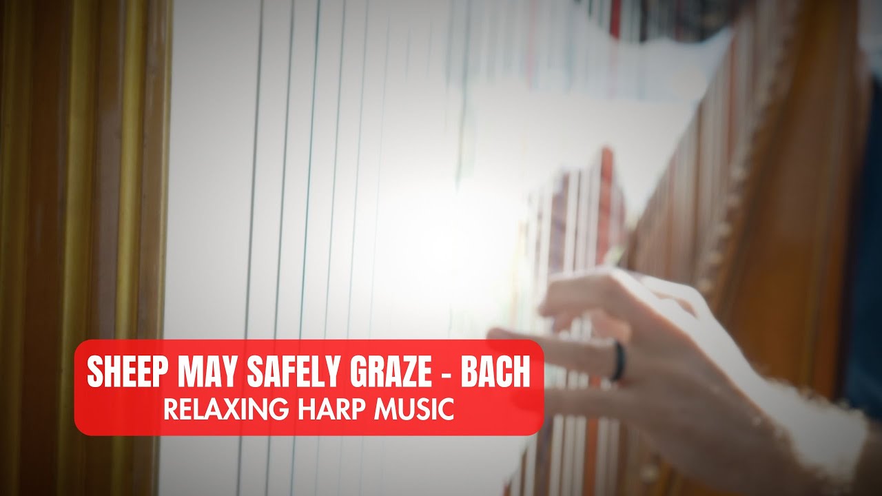 Sheep May Safely Graze by Bach - Relaxing Harp Music
