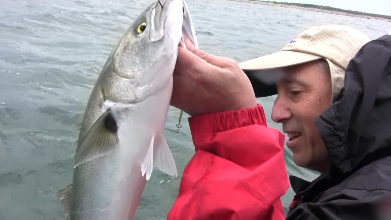 Flat-Lining for Bluefish with the SS Viper Spoons