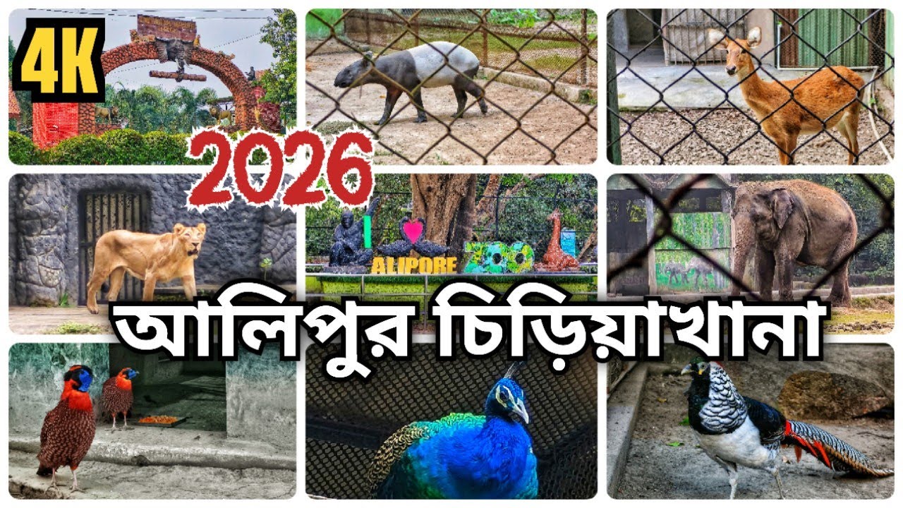 Alipore Zoo Kolkata Full Tour || Bengali Travel guide || কলকাতা আলিপুর চিড়িয়াখানা ||2026 