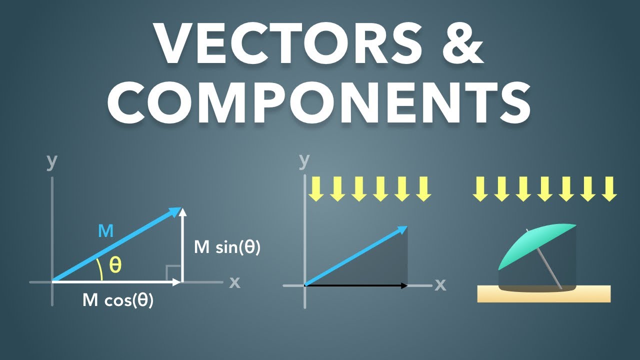 Векторы и как находить компоненты | Физика - Основы