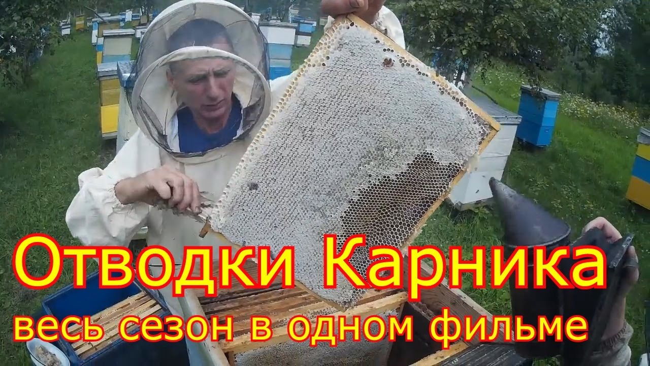 Отводки Карника F1, сезон 2019 в одном видео