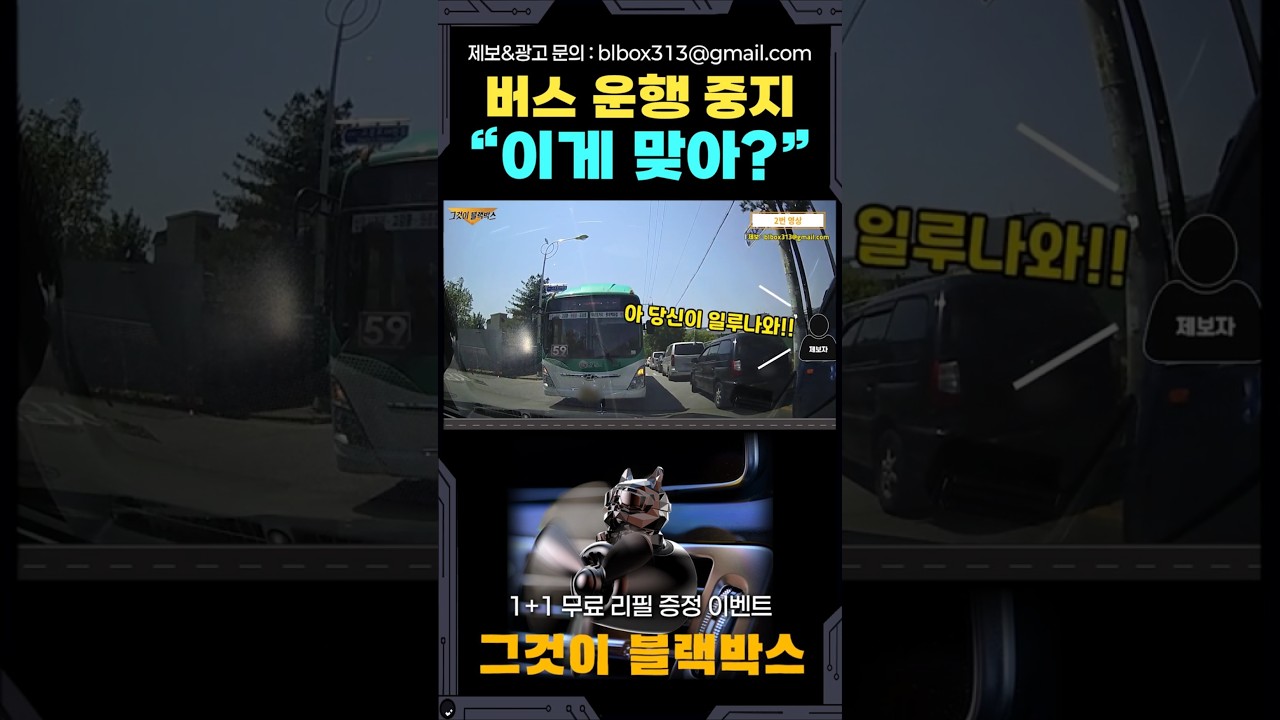 버스 운행 중지 