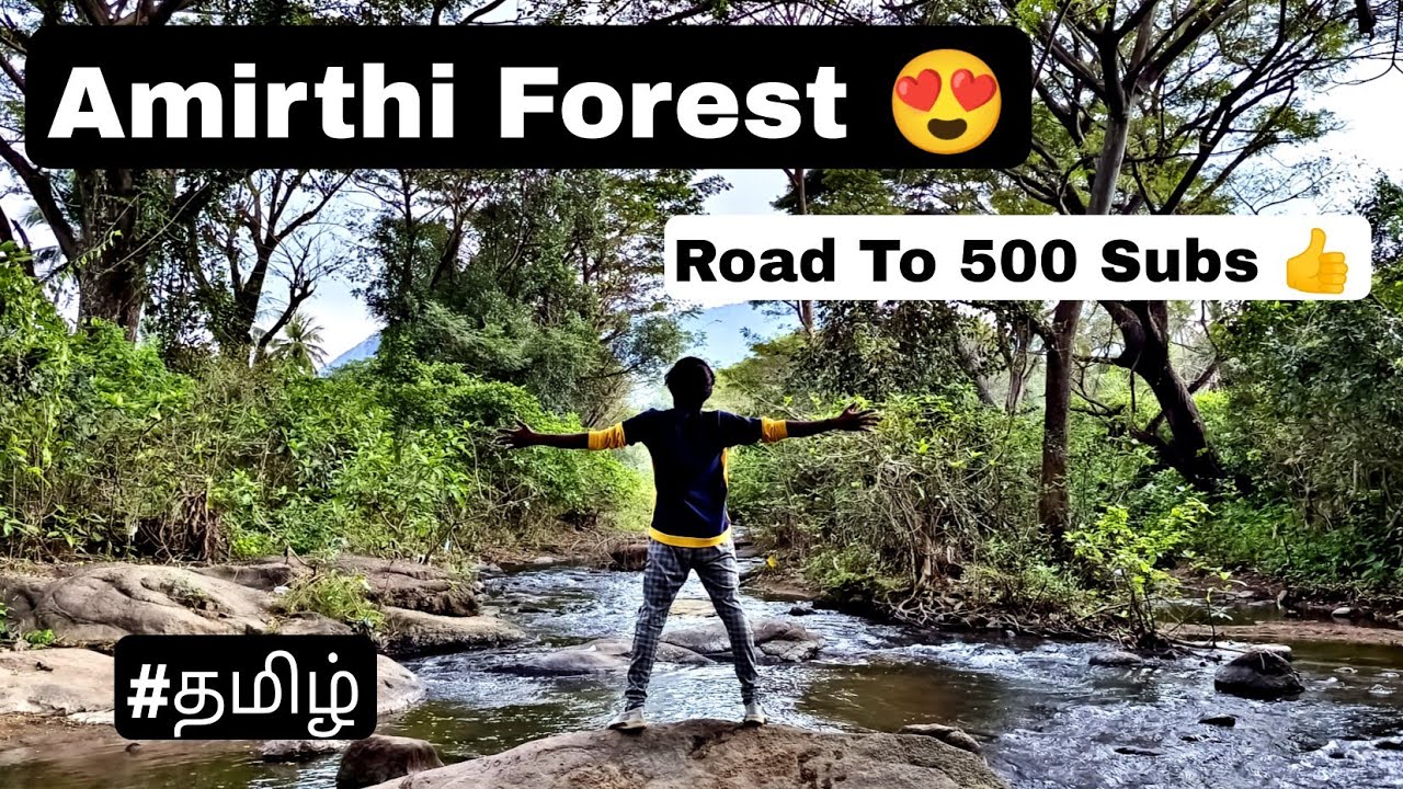 Amirthi Forest😍| Traveler🔥 | Motovlog | Kolarfam ❤️| #Velloretourism #vellore #travelvlog #Bikers