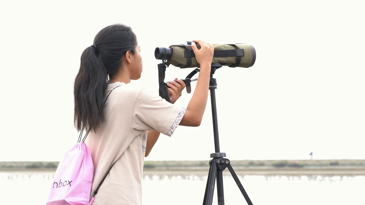 Birding Thailand Feb. 2019