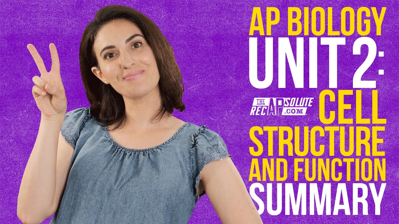 AP Biology Unit 2: Краткое описание структуры и функций клетки
