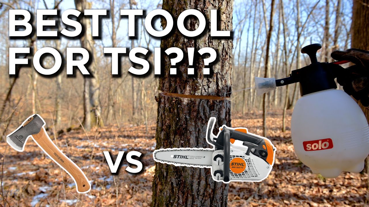 THE BEST Tools For Timber Stand Improvement!!