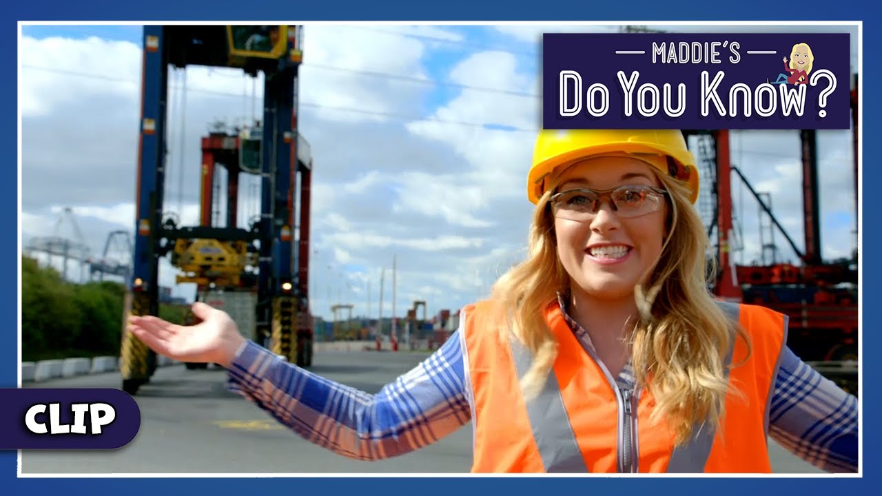 How do Shipping Cranes work?🏗️Maddie's Do You Know 👩