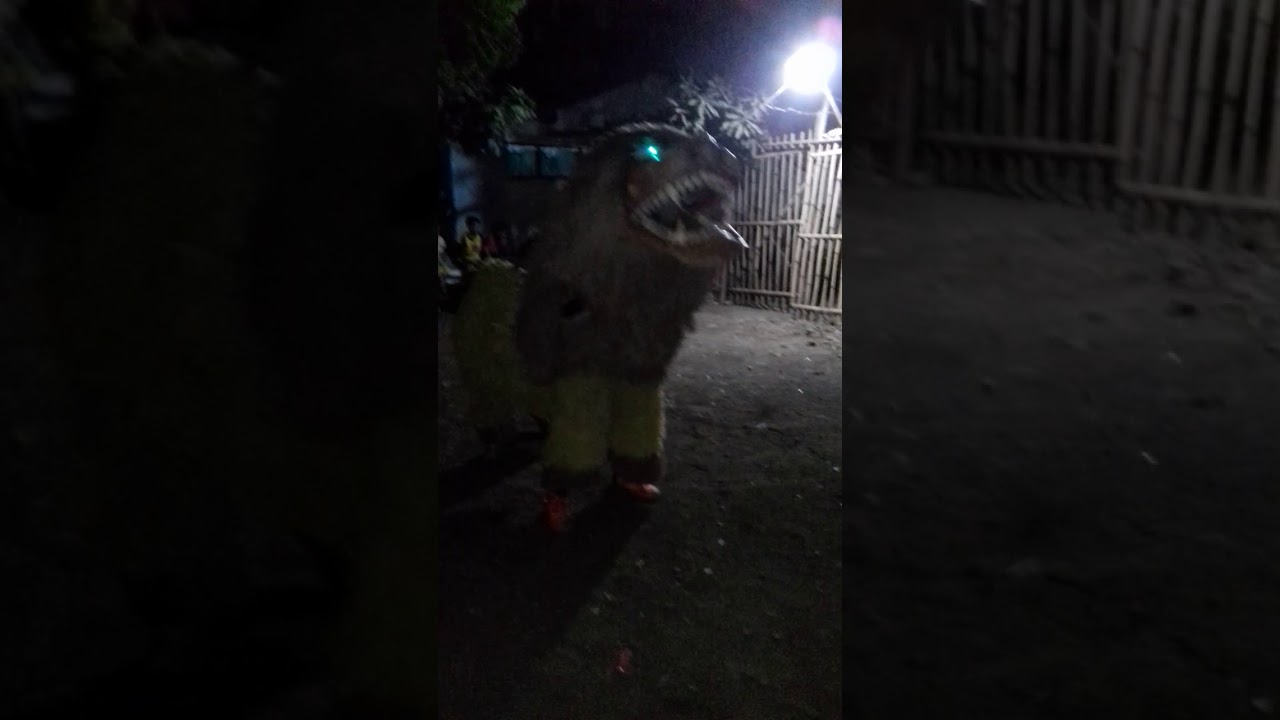 Macan macanan