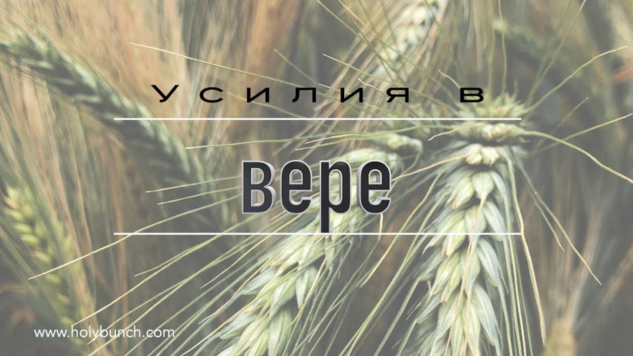 Усилия в вере | Проповедь. Герман Бем