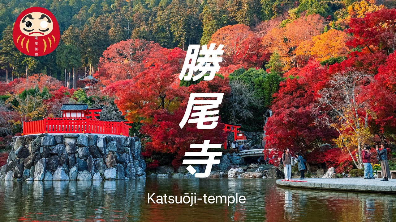 【首屈一指！勝尾寺，大阪香火最旺盛的寺院】關西地區人氣最旺的紅葉勝地｜大阪最熱門的賞楓勝地｜達摩娃娃為主題的佛寺