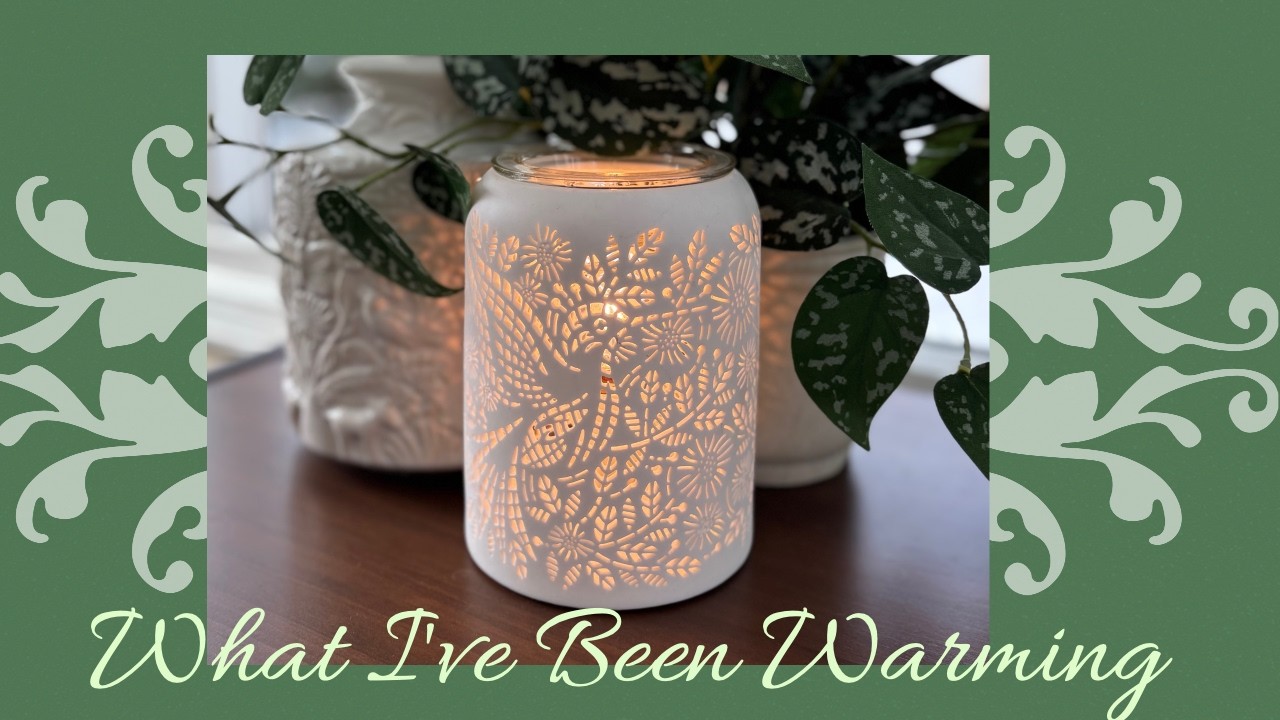 My Weekly What I’ve Been Warming with a new twist!!! I’m adding warner reviews!!! 