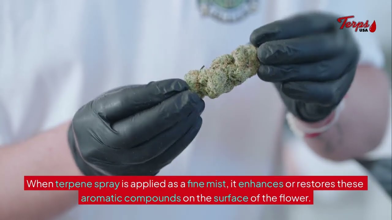 Does Terpene Spray Change the Effects of Weed or Cannabis Flower? &ndash; Terps USA&reg;