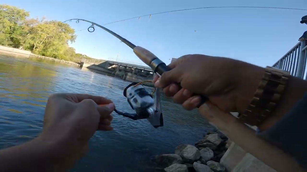 Michigan Salmon Fishing 2022: Allegan Dam Coho