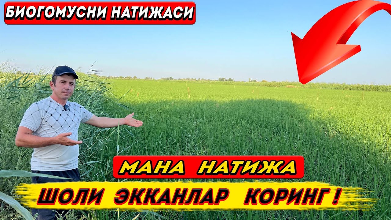 ШОЛИ  ЭККАНЛАР  АЛБАТТА  КОРИНГ  МАНА  НАТИЖА !