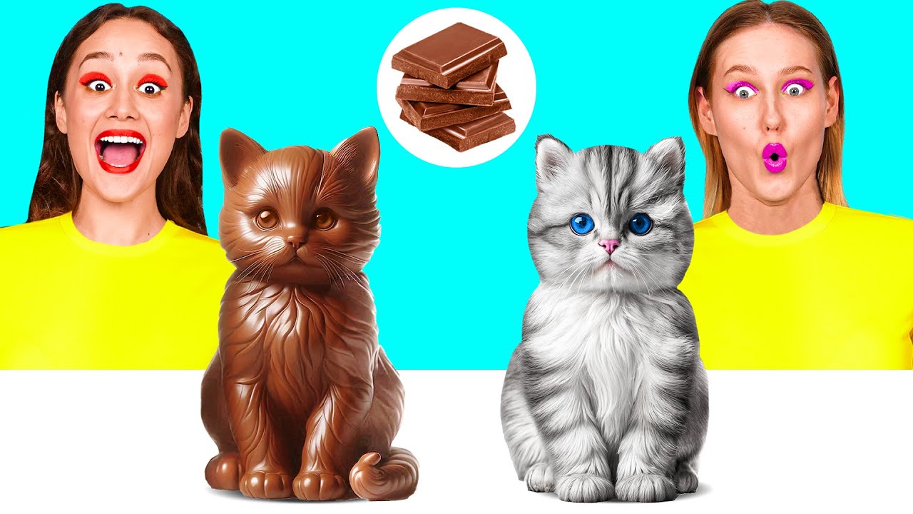 Real Food vs Chocolate Food Challenge | Funny Kitchen War by KaZaZa Challenge