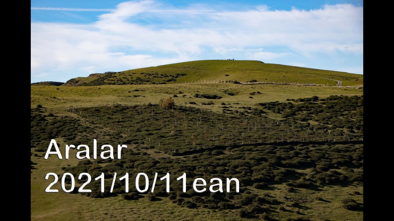 Aralar