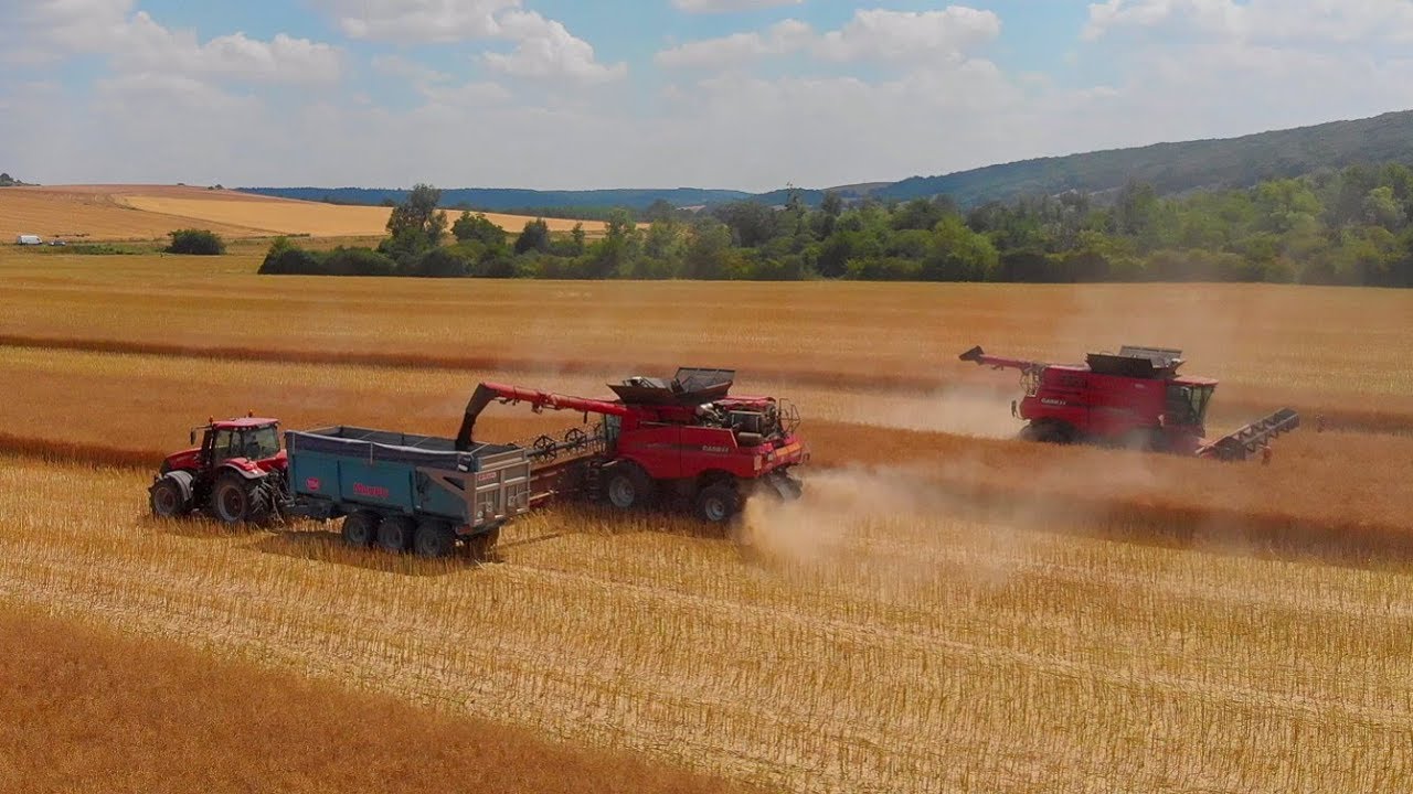 2 X Axial-Flow 8240 | 18m de coupe | Magnum 310 & 340 | John Deere 8330 | Bennes Maupu 3 essieux