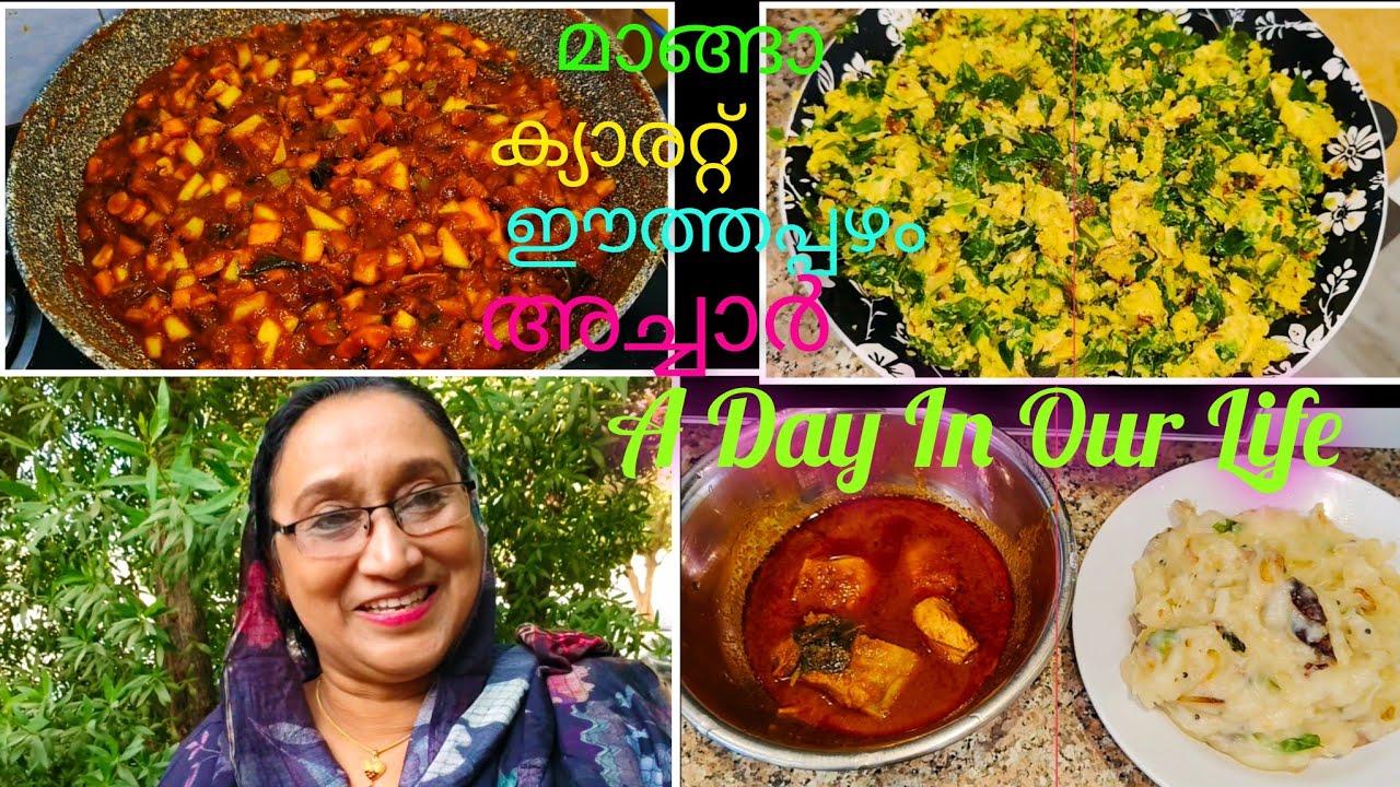 ശാലുവും റുക്കുവും എൻ്റെ പാചക ക്ലാസിൽ അച്ചാറിടാൻ പഠിക്കുന്നു//A Day In Our Life//Saji'sHomecafe//