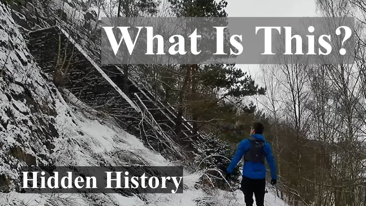 Strange Hidden Structure In The Swedish Forest