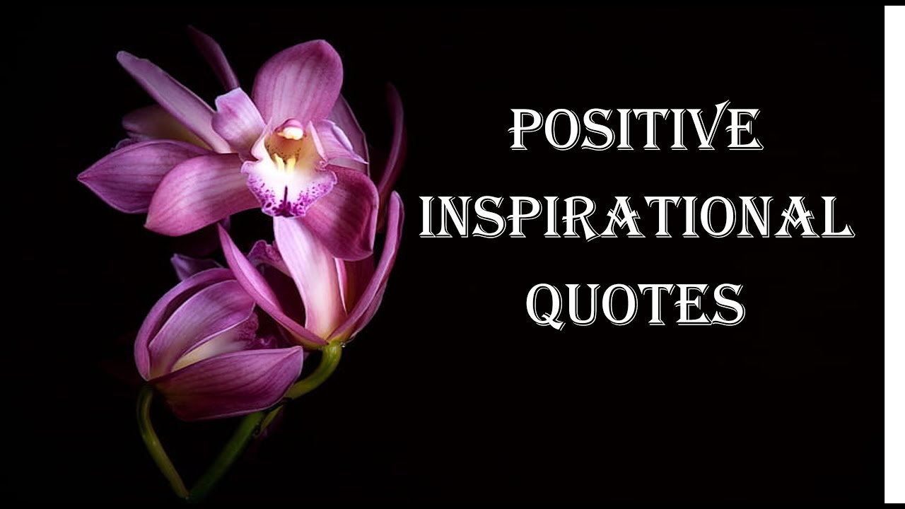Positive Inspirational Quotes / Inspiring Quotes / Motivational Quotes / Quotzee