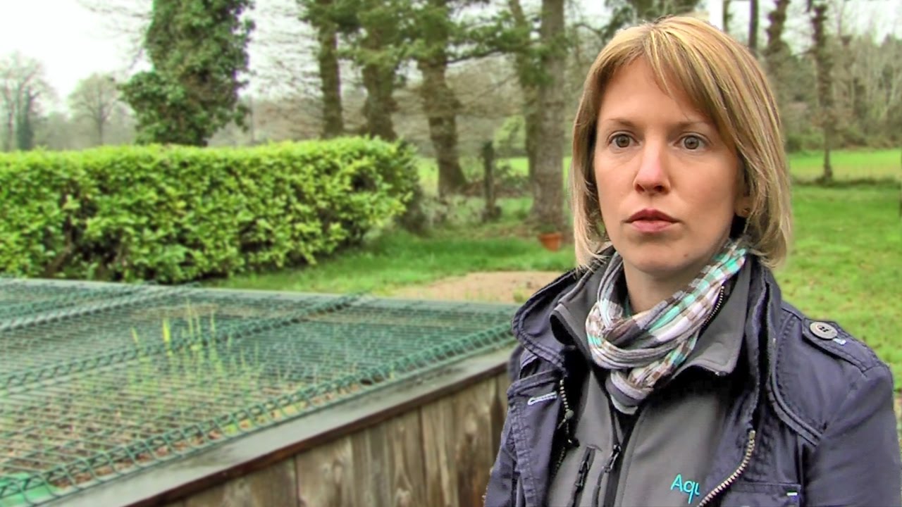 Les Jardins d'Assainissement Aquatiris | TV Rennes (TVR)
