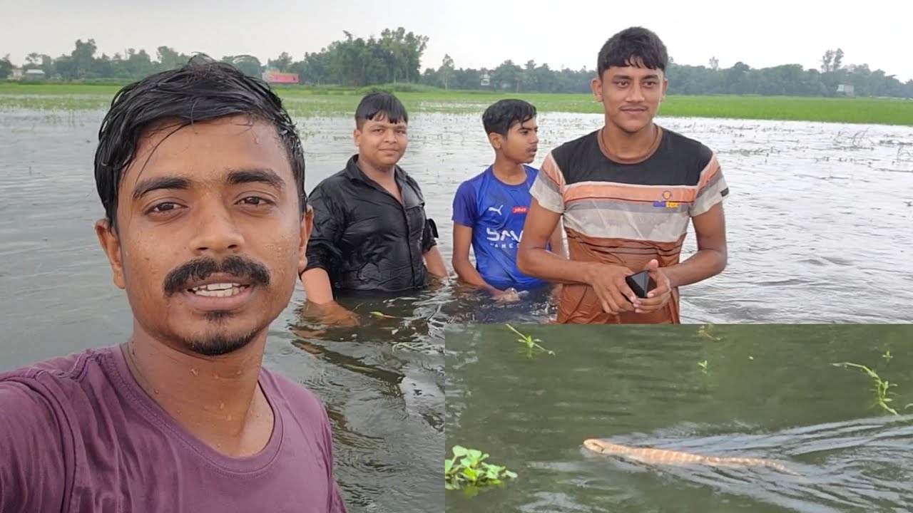 আমরা সবাই মিলে কোথায় গেলাম / আর সেখানে কি দেখলাম । Simple Village Vlog | Village Vloger |