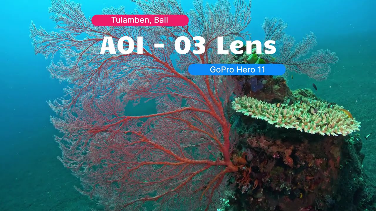 AOI - UWL03 Wide Angle Lens with GoPro Indonesia