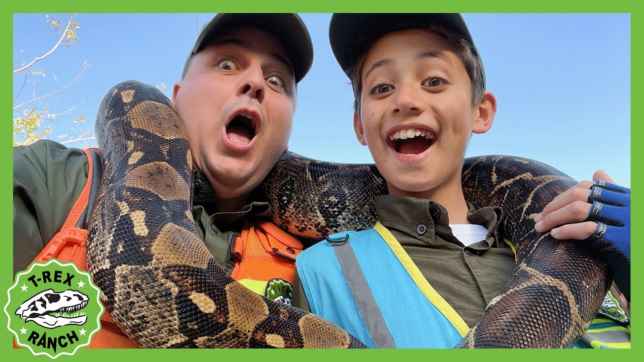 Reptacular Ranch | T-rex | Moonbug Kids Dinosaur Animal Show!