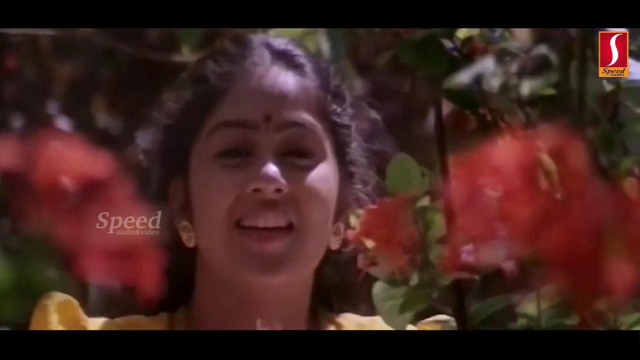 Mimics Action 500 - Malayalam Movie - Rajan P. Dev, KPAC Lalitha, A. C. Zainuddin, Abi