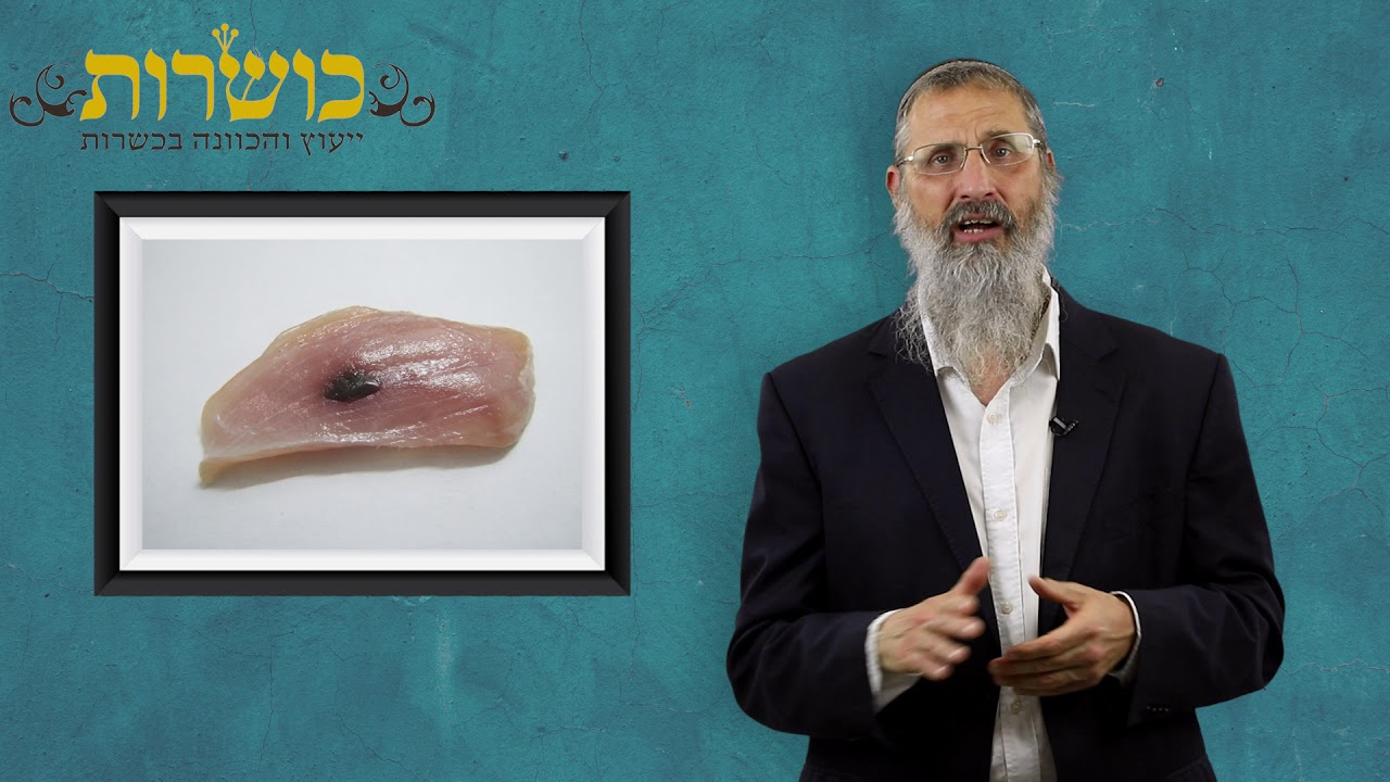 דם בעוף
