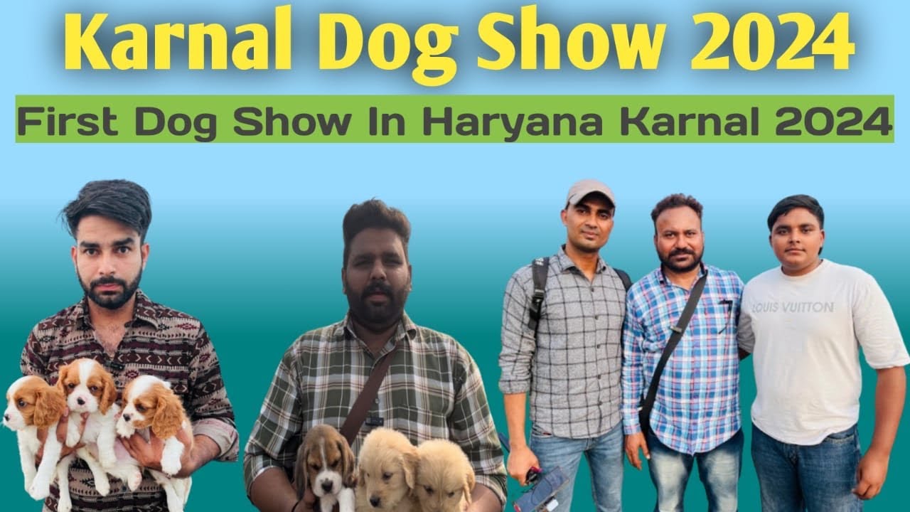 Karnal Dog Show 2024🦮 First Dog Show In Haryana Karnal 2024🔥
